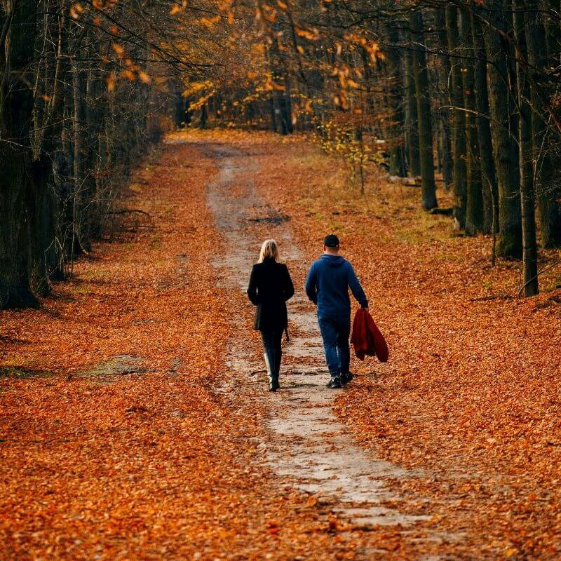 Ein Paar das nebeneinander durch den Wald spaziert